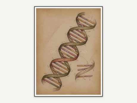 dna double helix vintage style