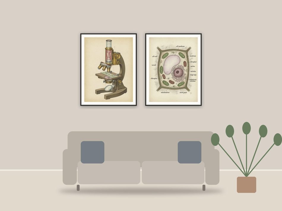 vintage science lab prints printable art framed above a sofa in a styled living room