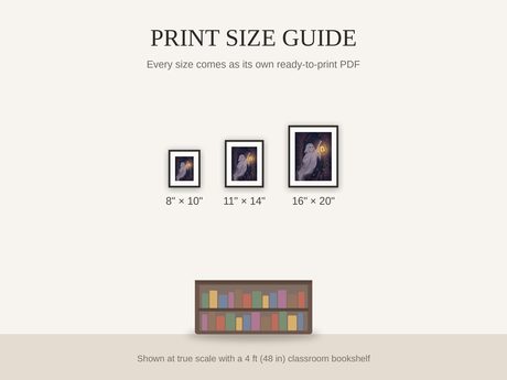 Print size guide showing 8x10, 11x14, and 16x20 framed prints at true scale beside a classroom bookshelf