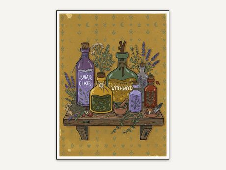 Potion bottles and herbs on kitchen shelf