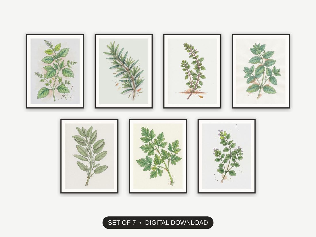 Set of 7 kitchen herb prints printable prints shown as a gallery wall