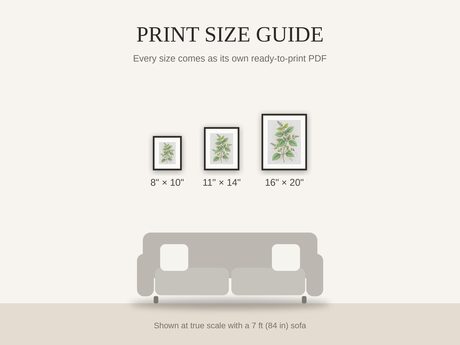 Print size guide showing 8x10, 11x14, and 16x20 framed prints at true scale beside a sofa