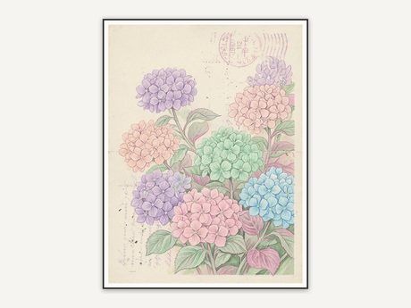 Mixed hydrangeas with vintage postcard details