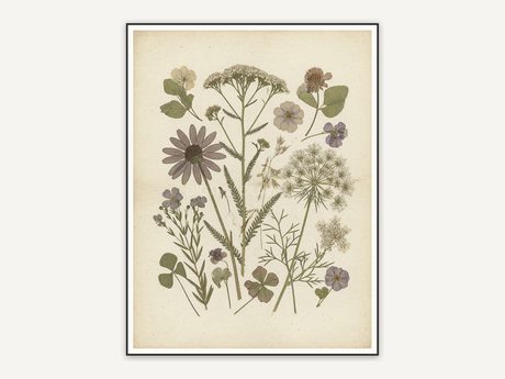 Pressed wildflower botanical print in muted earth tones