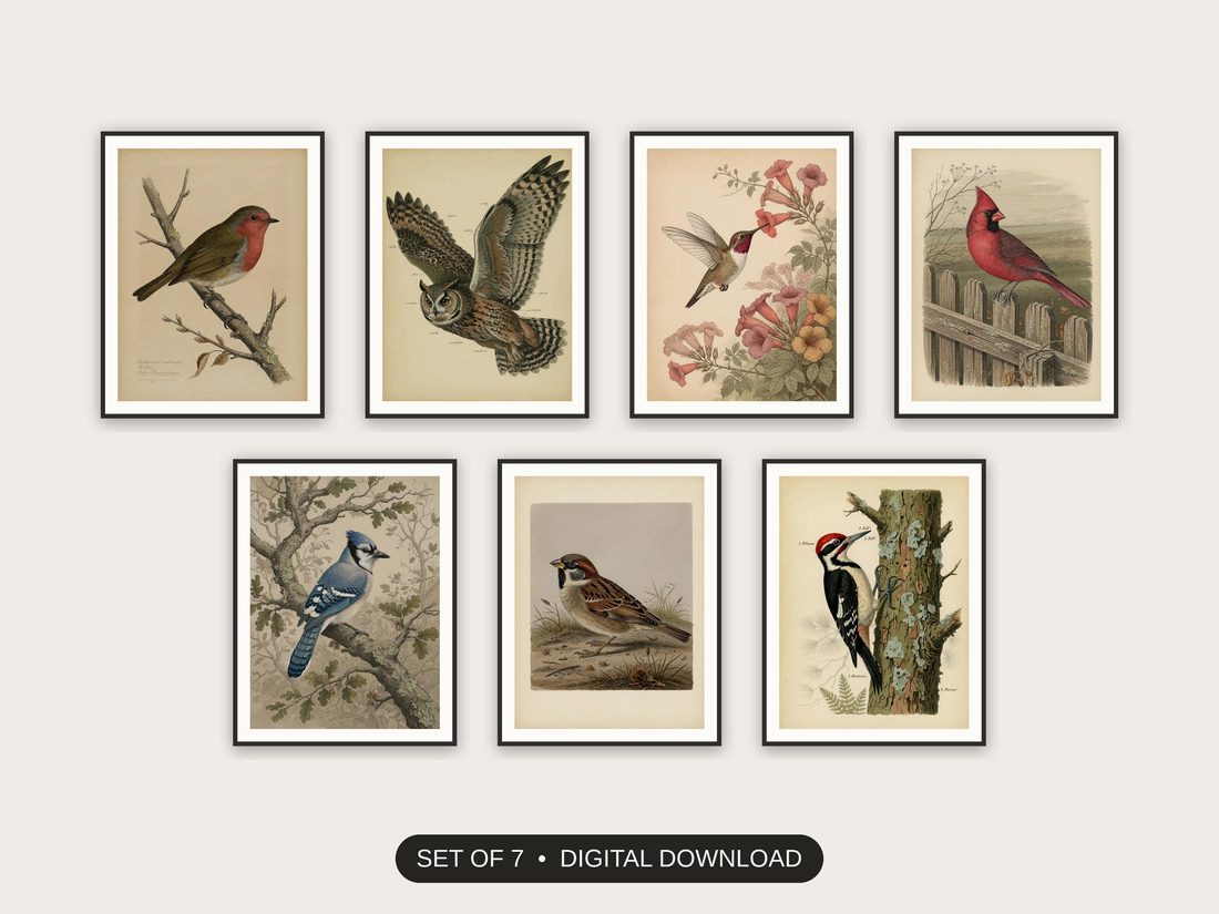 Set of 7 vintage ornithology illustrations printable prints shown as a gallery wall