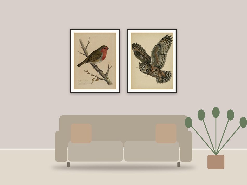 vintage ornithology illustrations printable art framed above a sofa in a styled living room