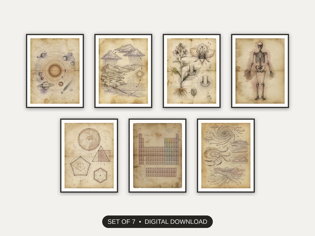 Set of 7 vintage educational prints printable prints shown as a gallery wall
