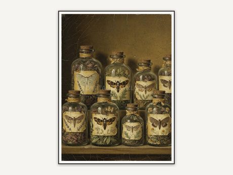 Vintage oil painting of labeled apothecary jars