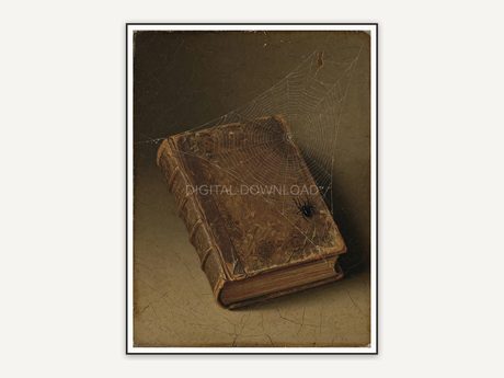 Vintage oil painting of spiderweb on old book