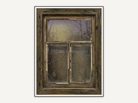 Vintage oil painting of spiderweb on old wooden window