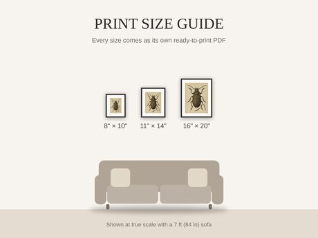 Print size guide showing 8x10, 11x14, and 16x20 framed prints at true scale beside a sofa