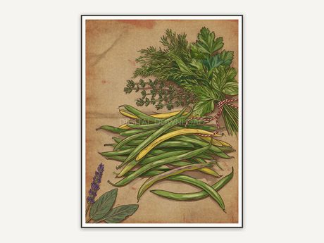 Green beans and herbs still life print